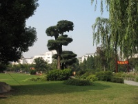 2009 China 140